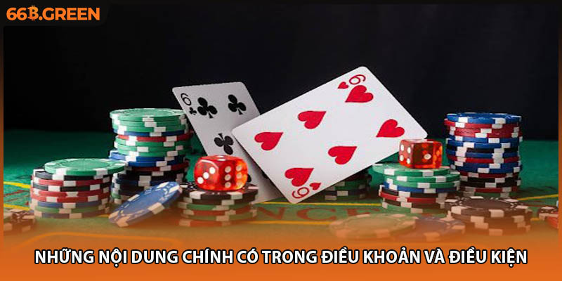 Những nội dung chính có trong điều khoản và điều kiện